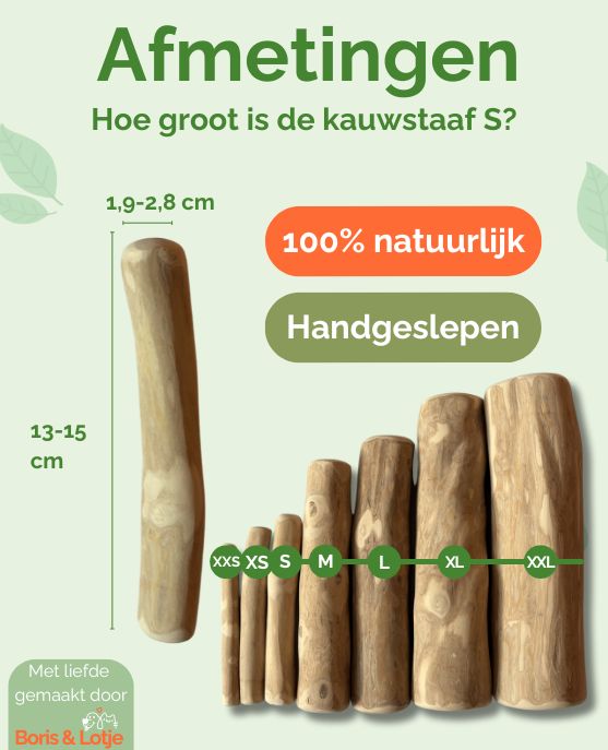 Kaustab Kaffeeholz S - Pro Stück