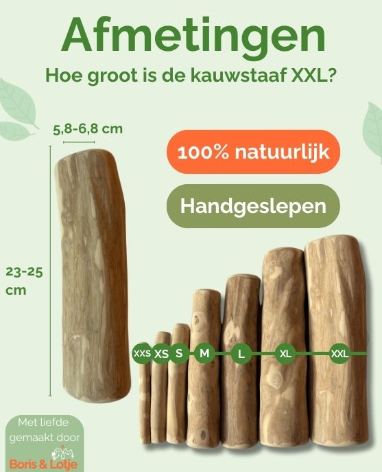 Kaustab Kaffeeholz XXL - Pro Stück