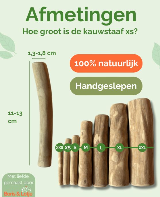 Kaustab Kaffeeholz XS - Pro Stück