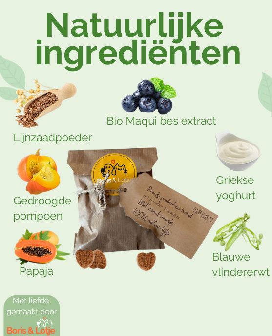 Prä- & Probiotika Hund - Unterstützt Verdauung & Abwehrkräfte - 60 Hundeleckerlis mit Entengeschmack