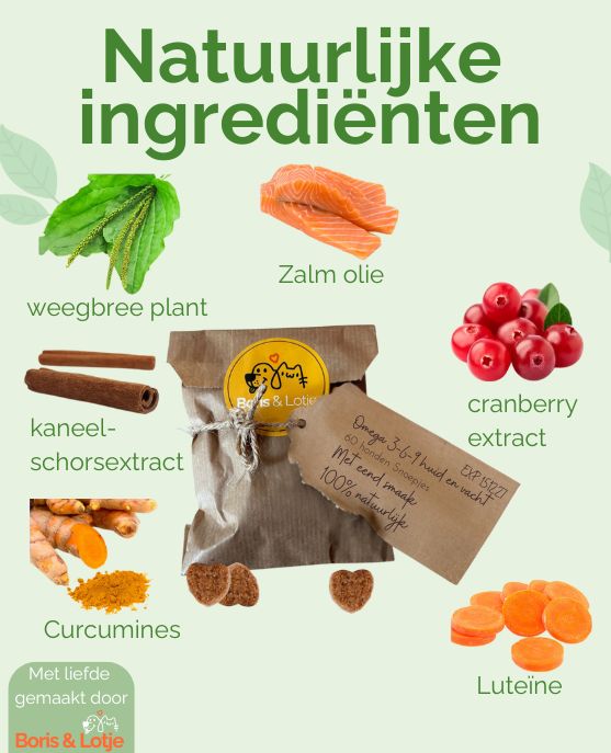Omega 3-6-9 Haut- und Fellergänzung - 60 Hundeleckerlis mit Entengeschmack