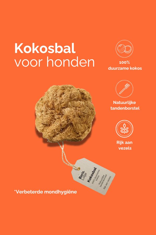 Coconut Ball Kauball aus Kokosfasern - S - Pro Stück