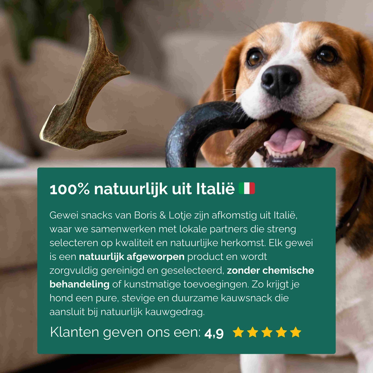 Rendiergewei hondensnack 100% natuurlijk maat S - Per stuk