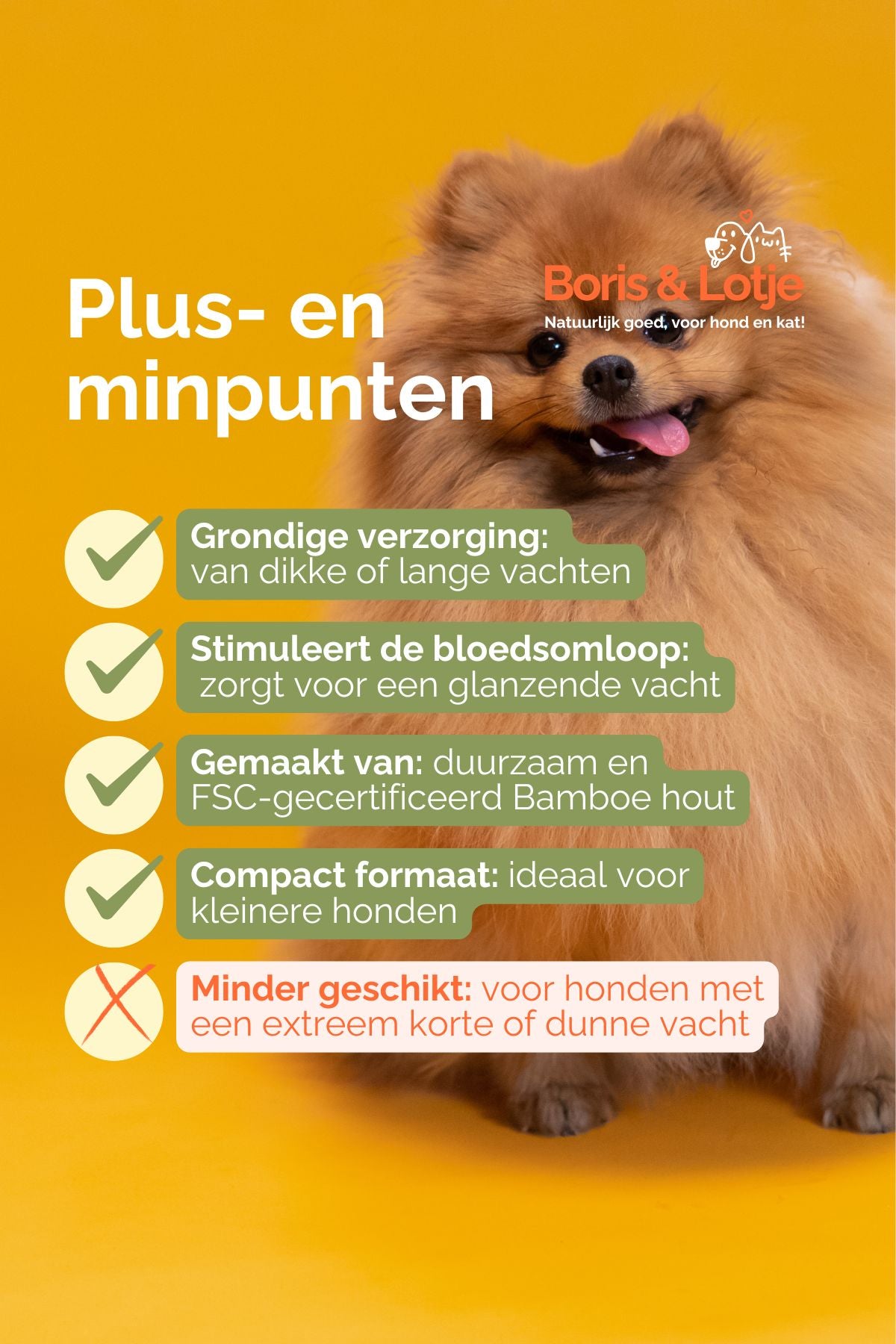 Langknochen-Hundebürste 15,4 x 6,7 cm, nachhaltiges Bambusholz – pro Stück