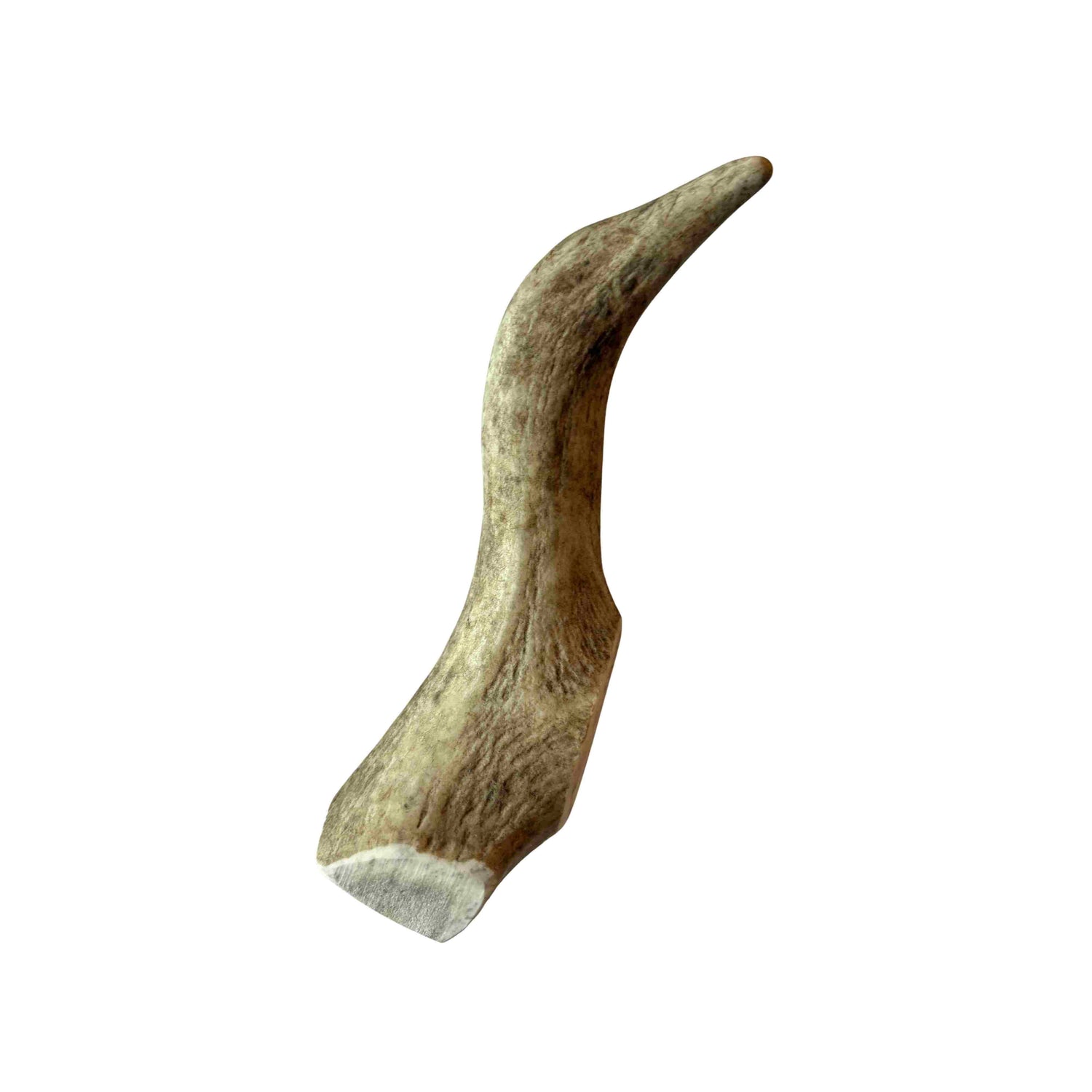 Rendiergewei