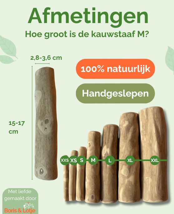 Kaustab Kaffeeholz M - Pro Stück