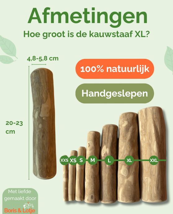 Kaustab Kaffeeholz XL - Pro Stück