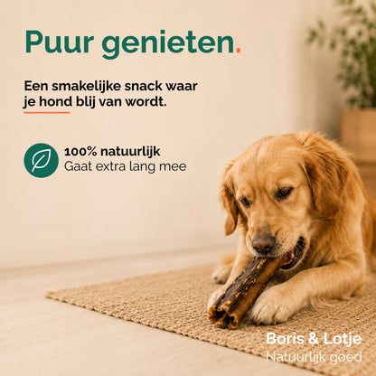 Runderkophuid 100% natuurlijke hondensnack 30 cm 500 gram