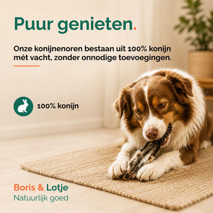 Konijnenoren met vacht 100 gram