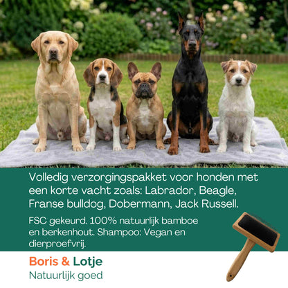 Pflegepaket für kurzhaarige Hunde – Hundebürste, 2 Kämme & Hundeshampoo