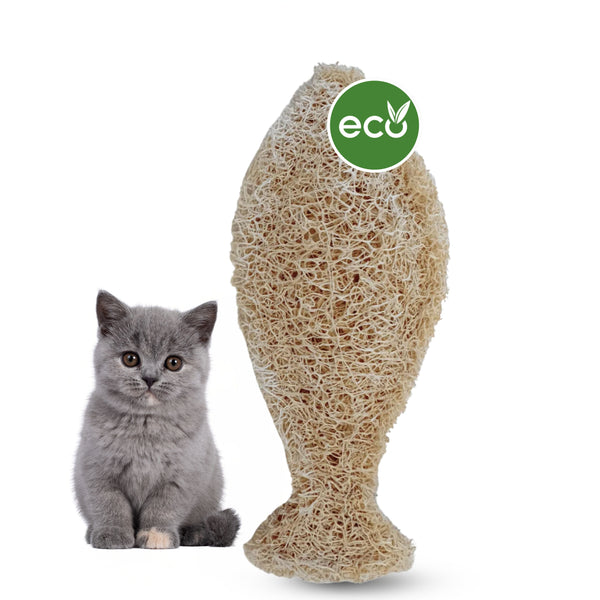 Natürliche Zahnbürste für Katzen – Hergestellt aus 100 % Luffa