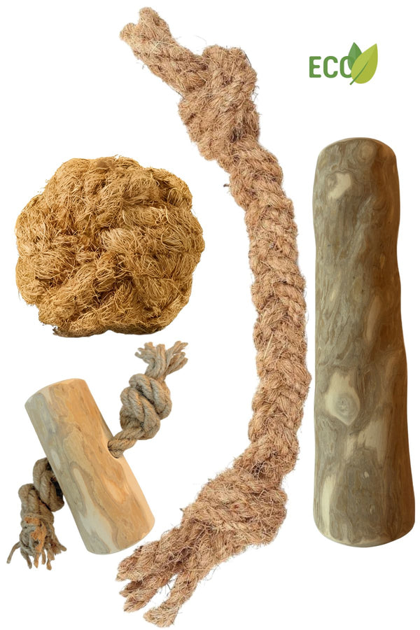 Basispaket XL - Natürliches Kauen und Spielen