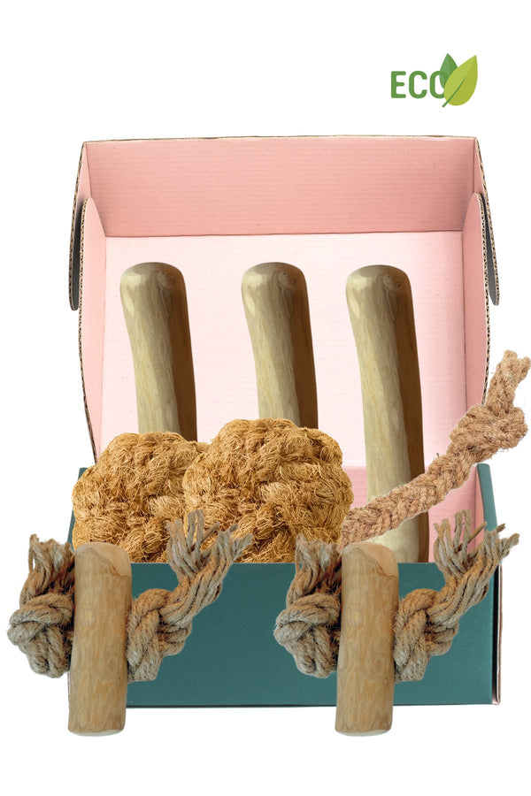 Deluxe Hundepaket S - Natürliches Kauen und Spielen