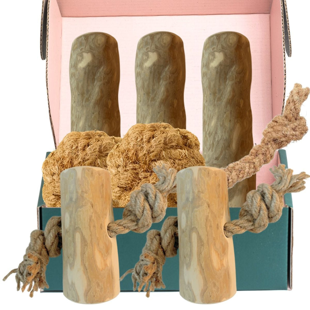 Deluxe Hundepaket XL - Natürliches Kauen und Spielen 