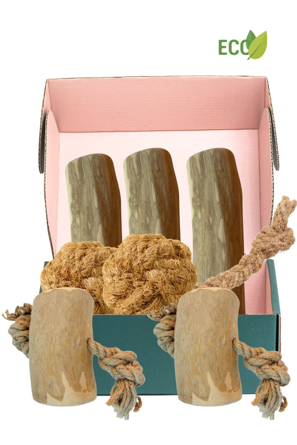 Deluxe Hundepaket XXL - Natürliches Kauen und Spielen 