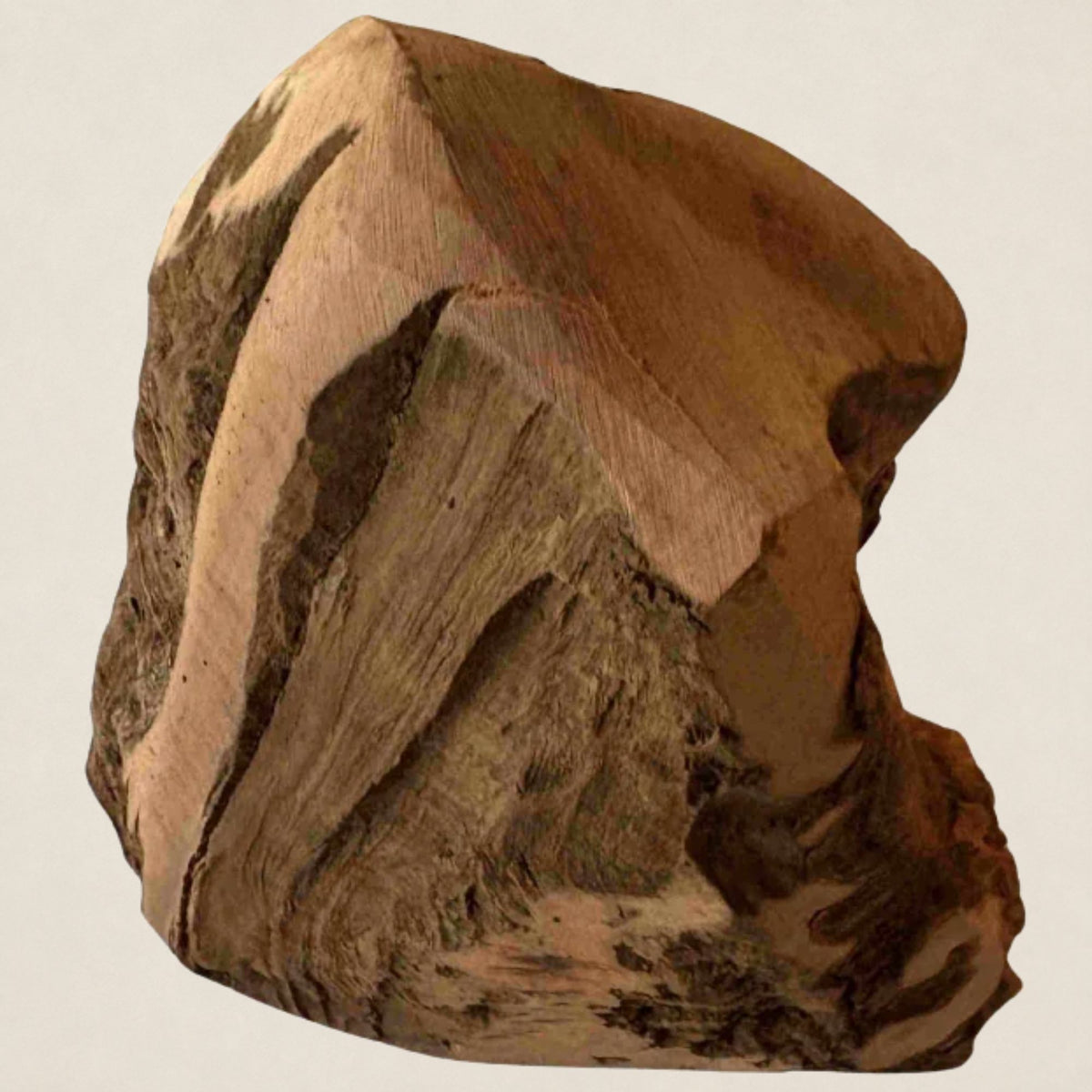 Heidewurzel L (300-400 Gramm)