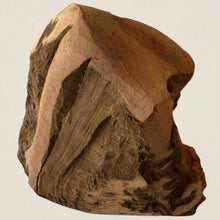 Heidewurzel L (300-400 Gramm)