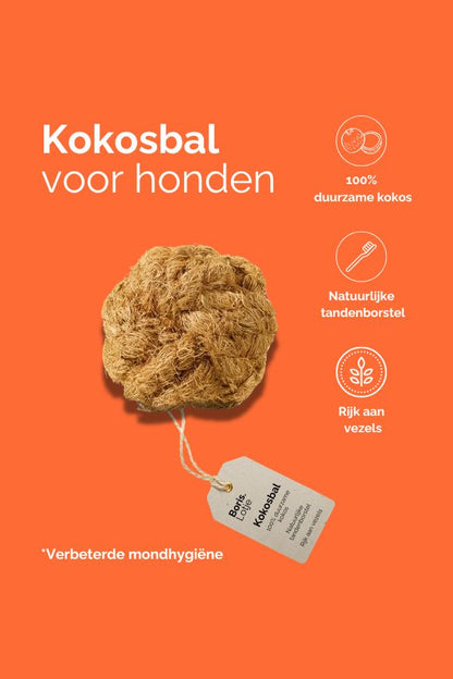 Coconut Ball Kauball aus Kokosfasern - L - Pro Stück