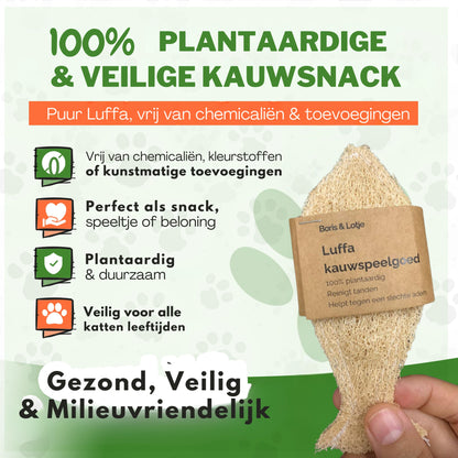 Natürliche Zahnbürste für Katzen – Hergestellt aus 100 % Luffa