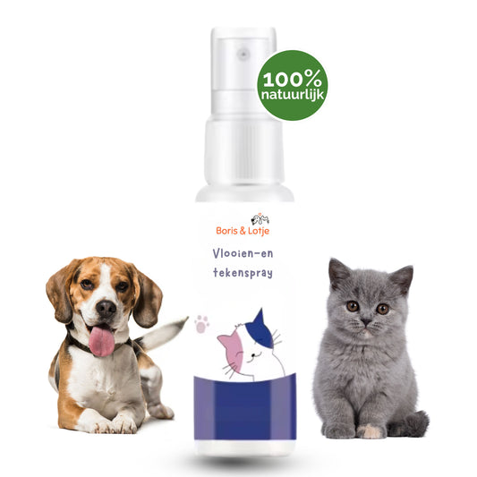 Flohspray und Zeckenspray für Hund und Katze – 100 % natürlich