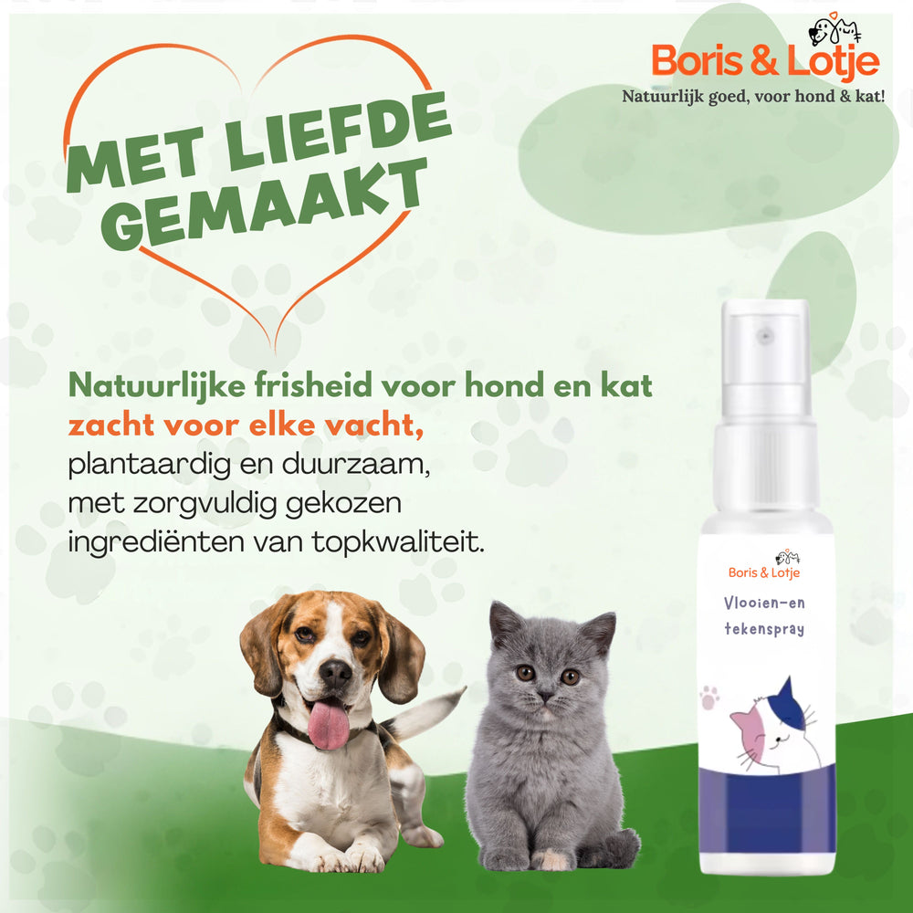 Flohspray und Zeckenspray für Hund und Katze – 100 % natürlich