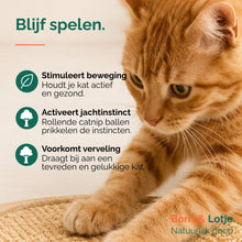 Kratzbrett für Katzen mit Spielbahn - Holz & Sisal 40,6 cm