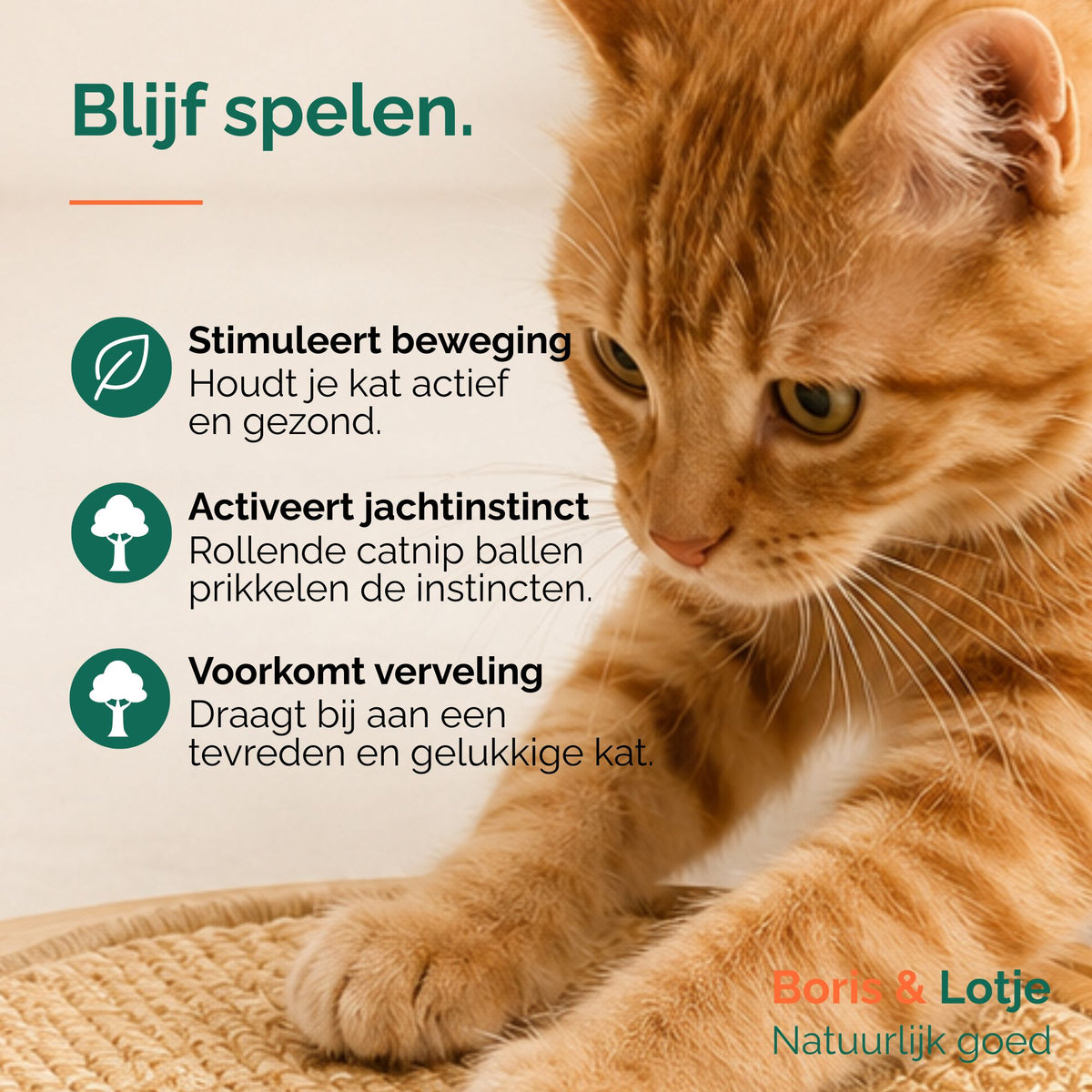 Kratzbrett für Katzen mit Spielbahn - Holz & Sisal 40,6 cm