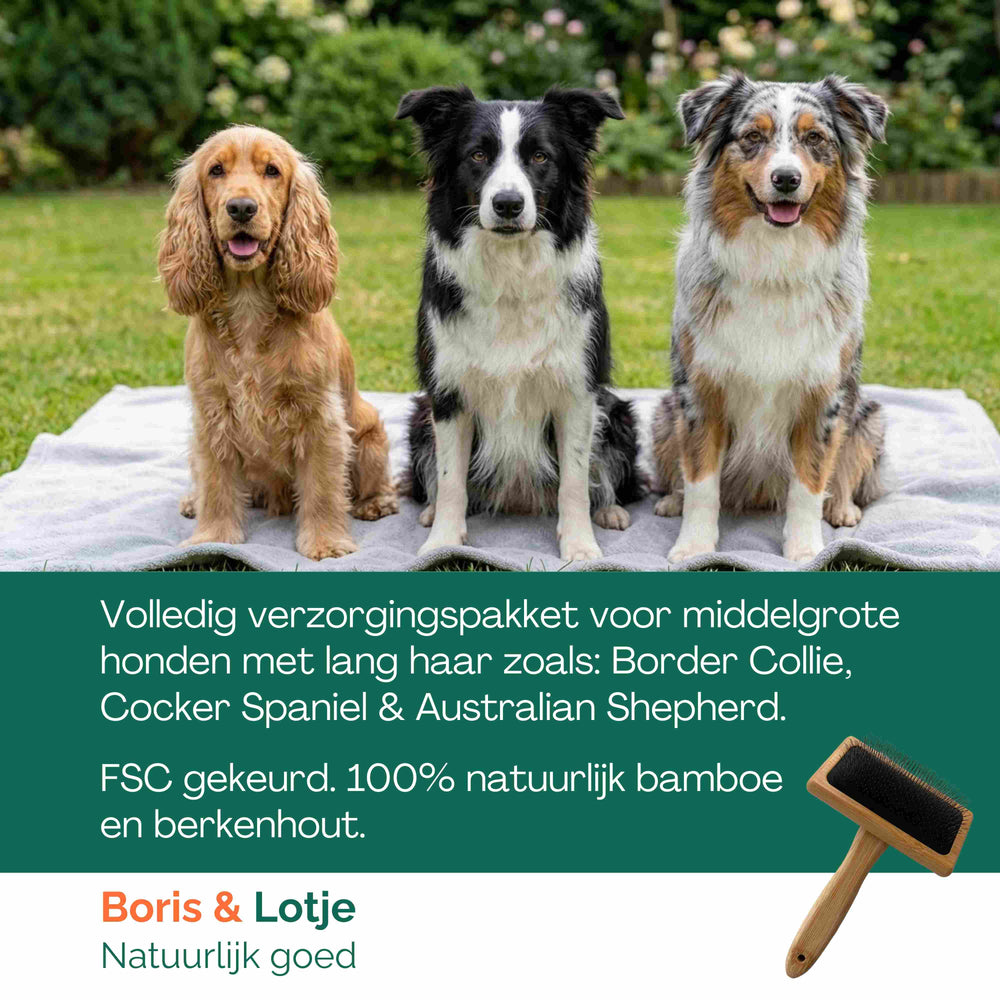 Pflegeset für langes Fell mittelgroßer Hunde 10 bis 25 kg – Bürste, Zupfbürste, Kamm & Shampoo