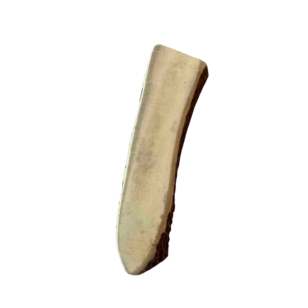 Elchgeweih L (120-160 Gramm)