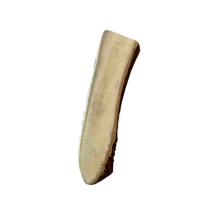 Elchgeweih L (120-160 Gramm)
