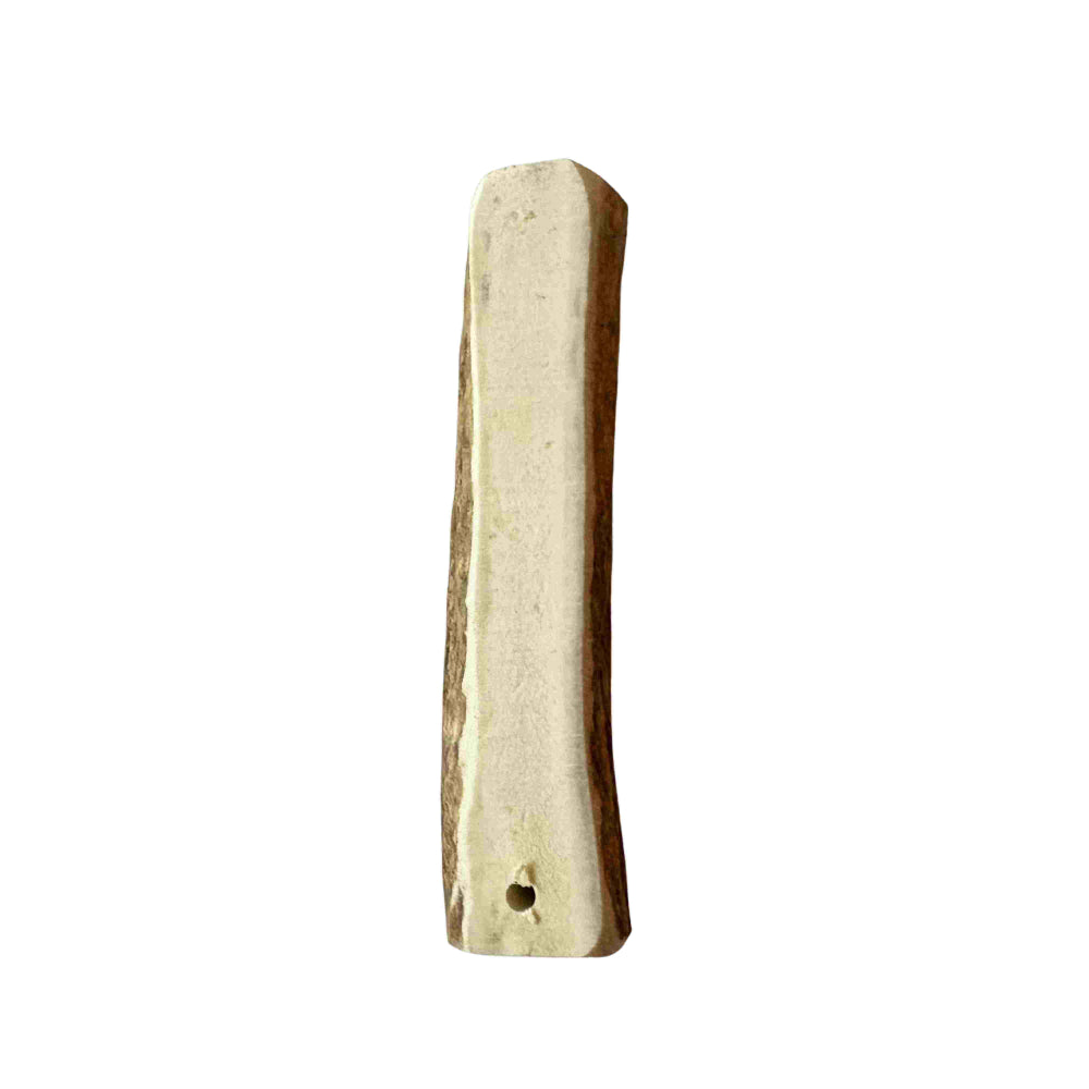 Elchgeweih M (80-120 Gramm)