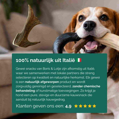 Rendiergewei hondensnack 100% natuurlijk maat M - Per stuk