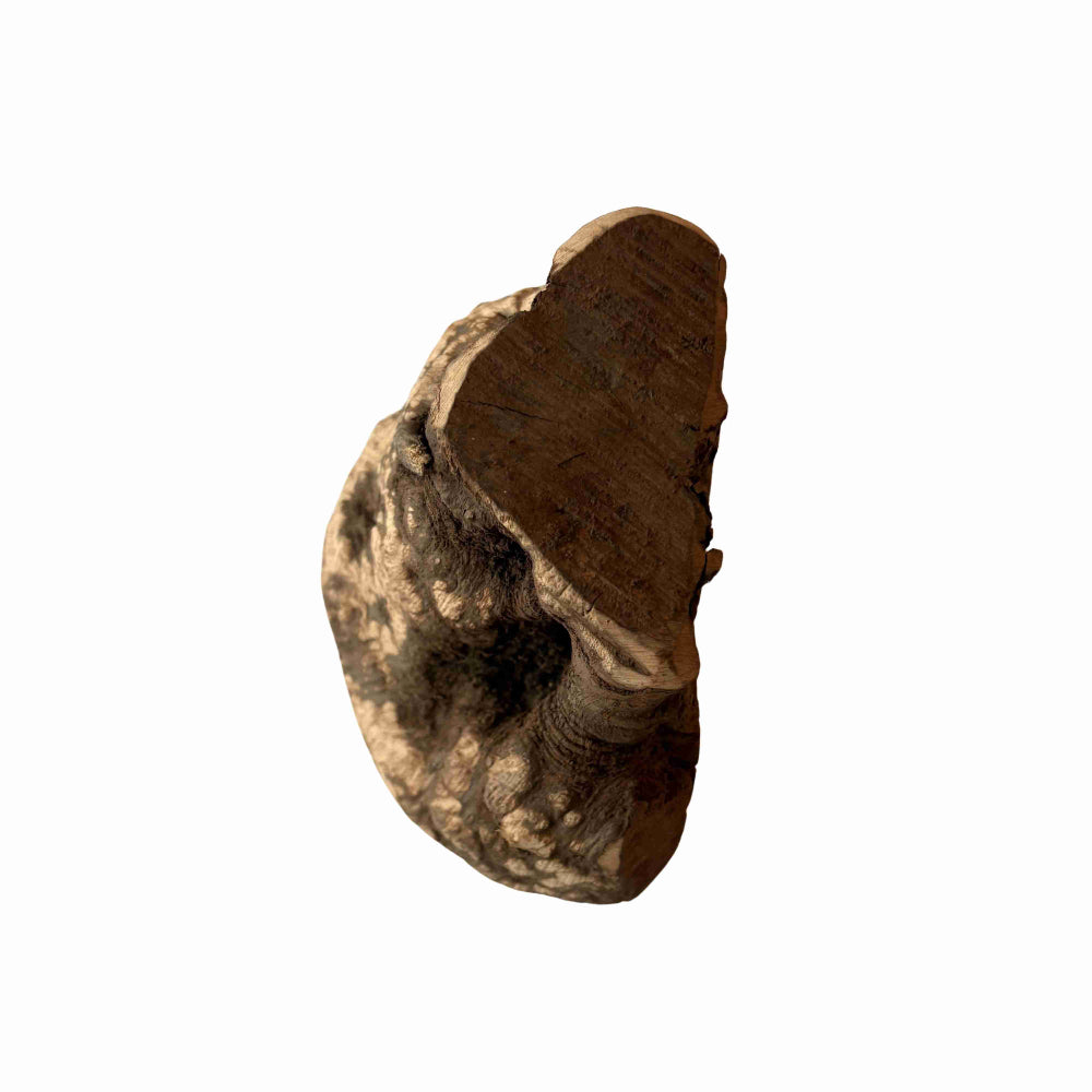 Heidewurzel M (200-300 Gramm)