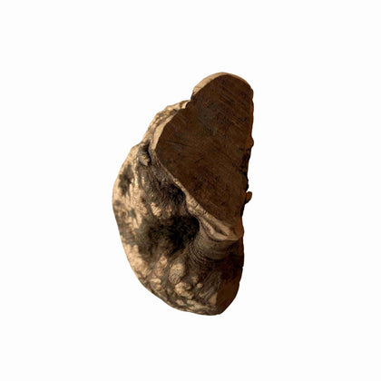 Heidewurzel M (200-300 Gramm)