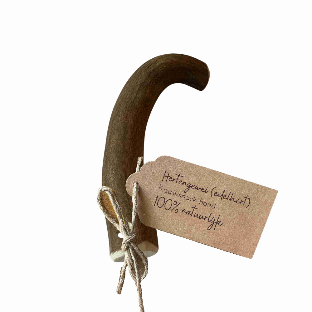 Edelhirschgeweih S (51-74 Gramm)