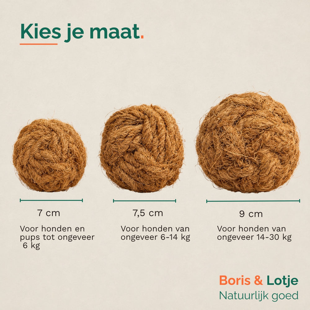 Coconut Ball Kauball aus Kokosfasern - M - Pro Stück