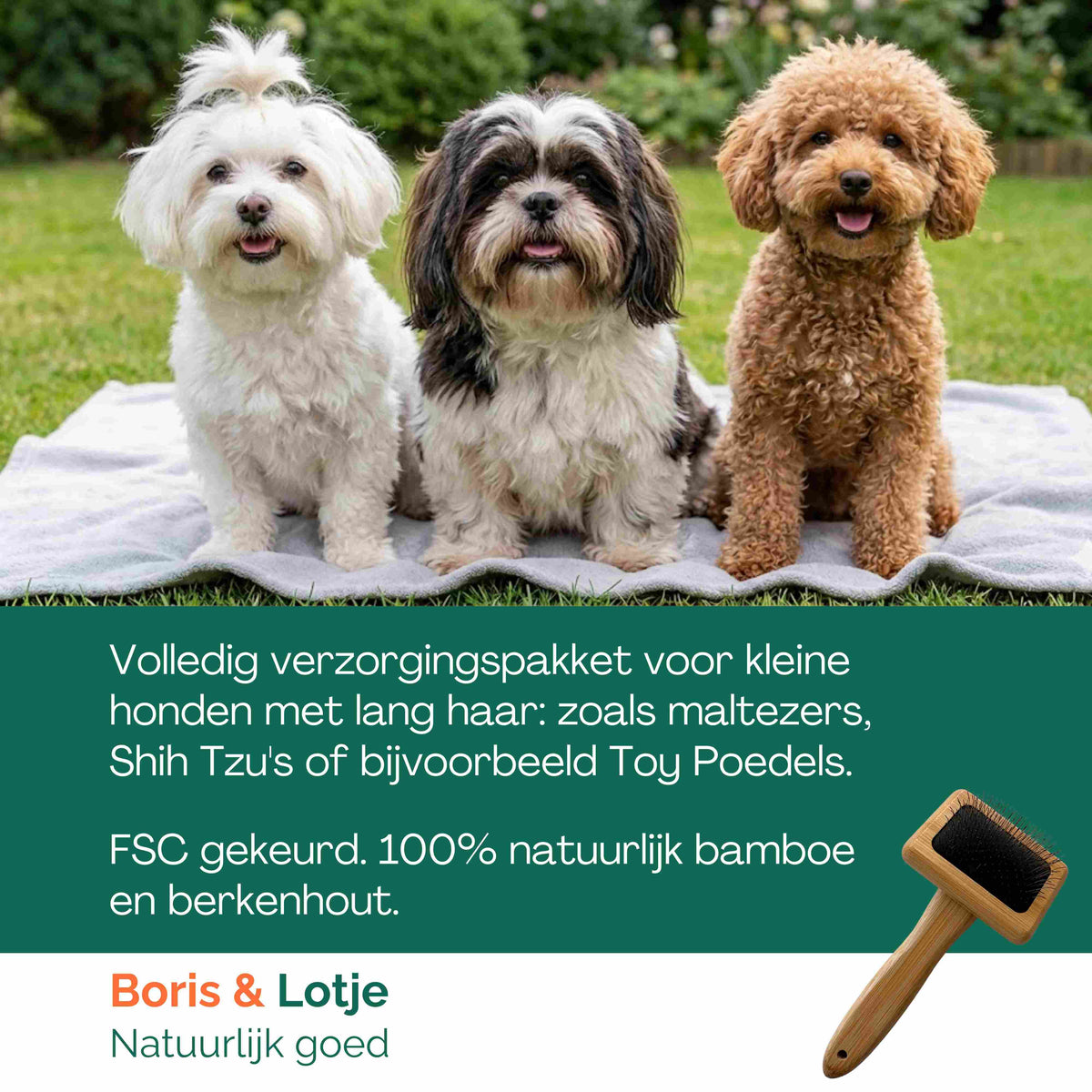 Pflegeset für langes Fell kleiner Hunde bis 10 kg – Bürste, Zupfbürste, Kamm & Shampoo