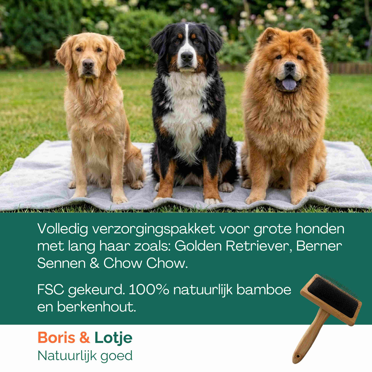 Pflegeset für langes Fell großer Hunde ab 25 kg – Hundebürste, Zupfbürste, Kamm & Shampoo