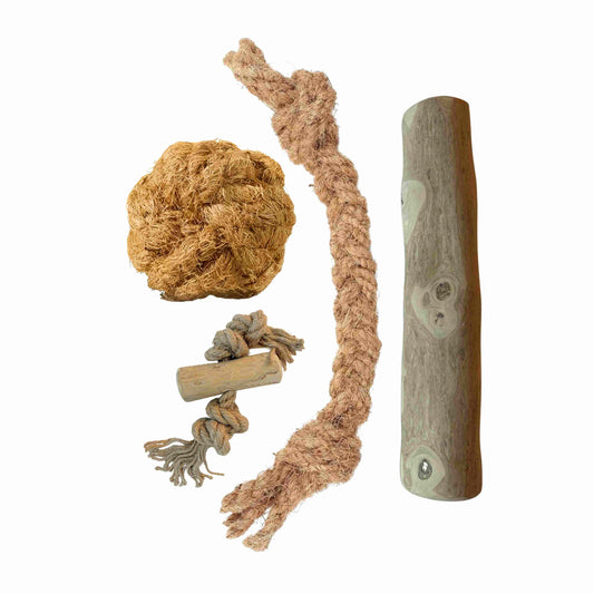 Basispaket M - Natürliches Kauen und Spielen