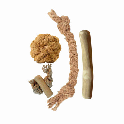 Basispaket S - Natürliches Kauen und Spielen