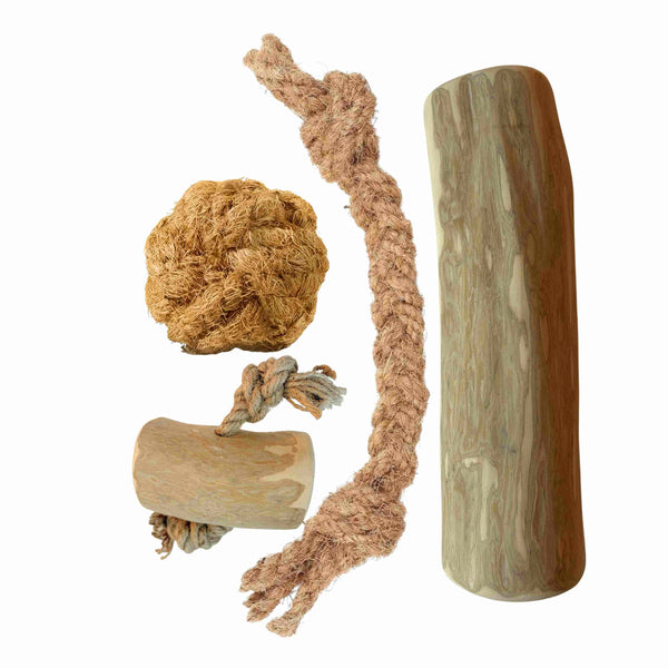 Basic XXL Paket - Natürliches Kauen und Spielen