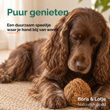 Coconut Ball Kauball aus Kokosfasern - M - Pro Stück