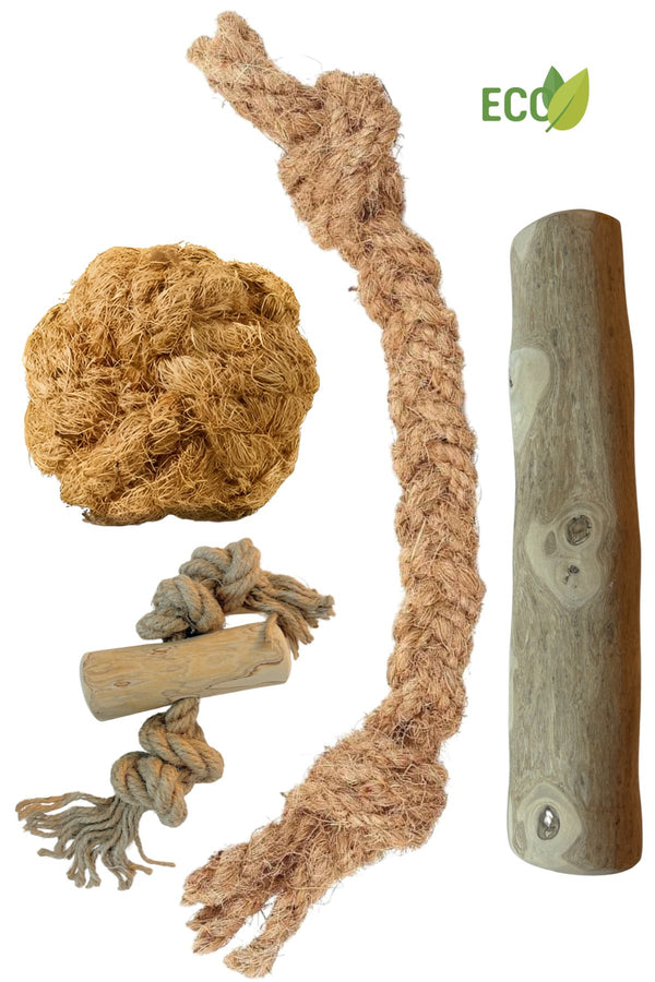 Basispaket M - Natürliches Kauen und Spielen