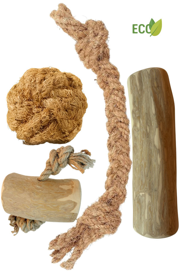 Basic XXL Paket - Natürliches Kauen und Spielen