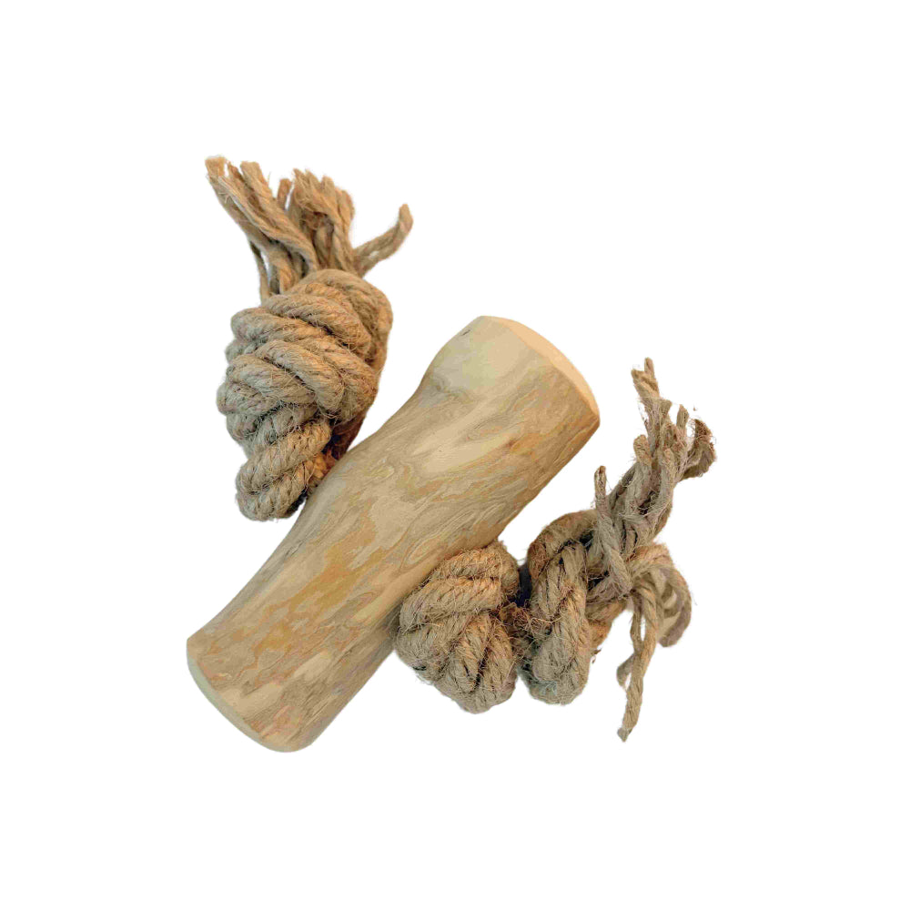 Kaustab Kaffeeholz mit Kokosfaser L - Pro Stück