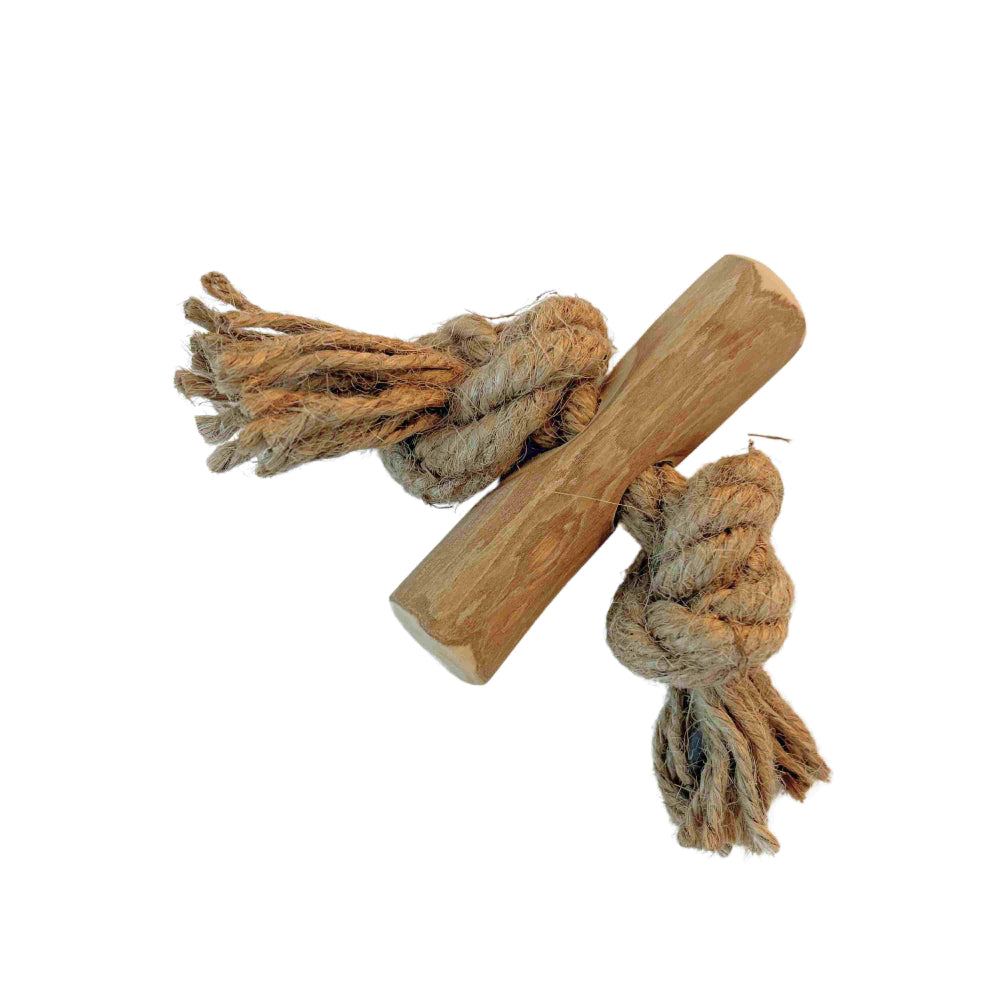 Kaustab Kaffeeholz mit Kokosfaser XS - Pro Stück