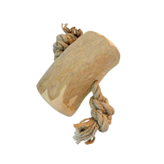 Kaustab Kaffeeholz mit Kokosfaser XXL - Pro Stück