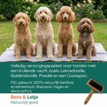 Doodle-Pflegeset – Zupfbürste, 2 Hundekämme & entwirrendes Hundeshampoo