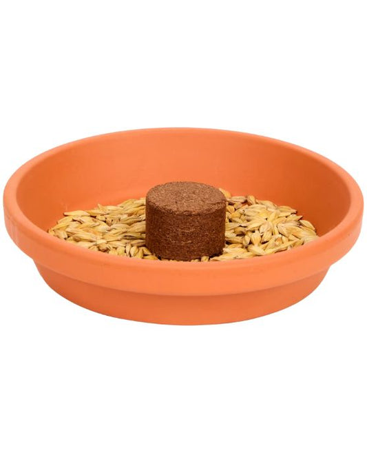 Katzengras-Anzuchtset für Katzen 3-teilig