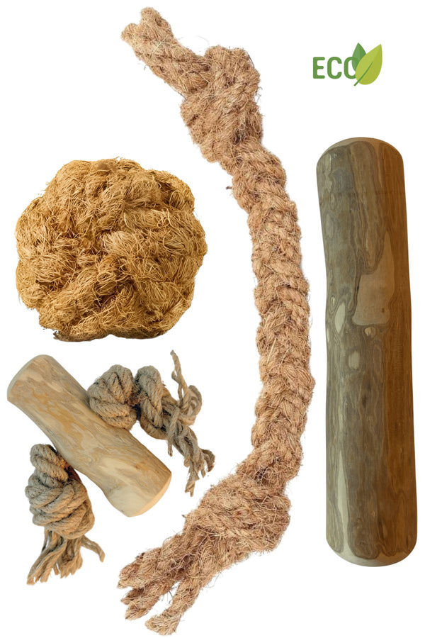 Basispaket L - Natürliches Kauen und Spielen